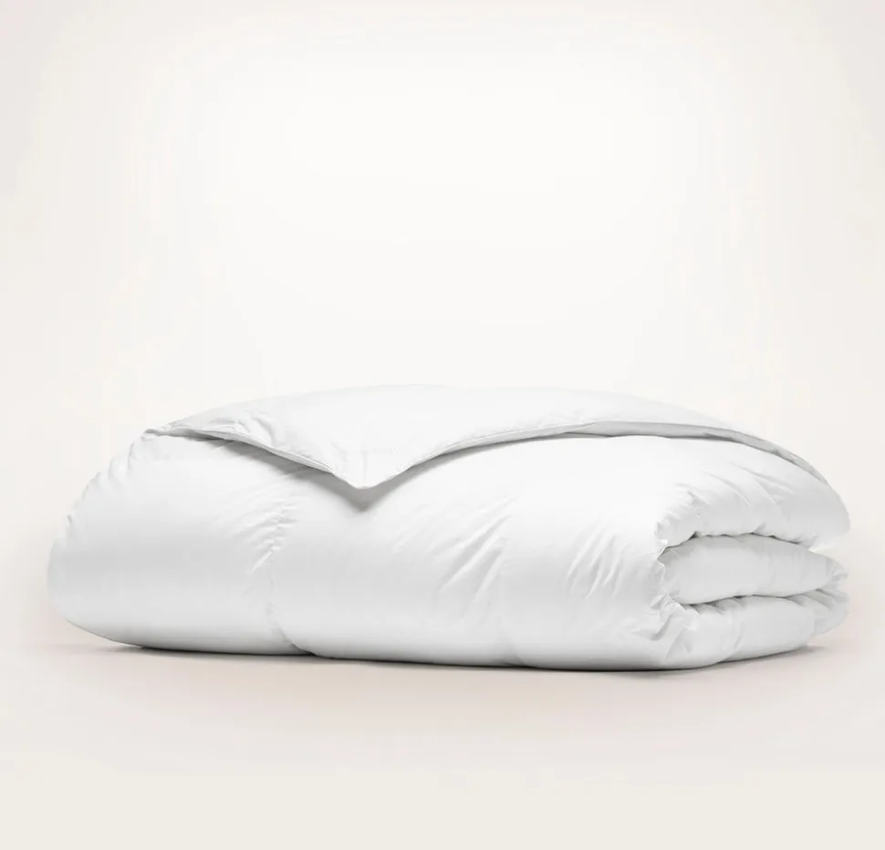 Down Duvet Insert