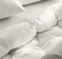 Down Duvet Insert