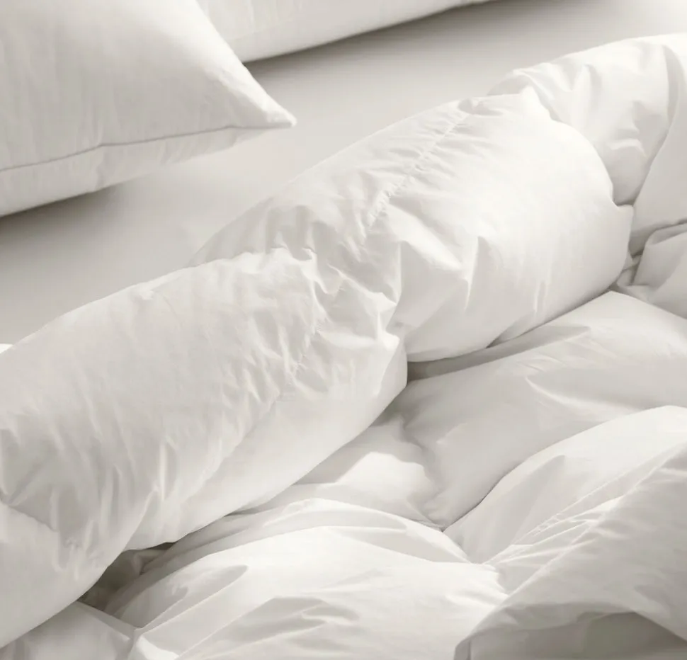 Down Duvet Insert