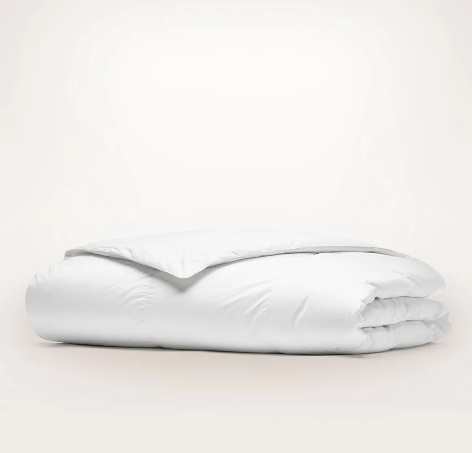 Down Duvet Insert