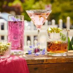 Dragon Tall Drink Glasses