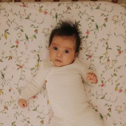 Dreaming of Paradise Crib Sheet in Ivory