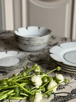 Drops Dinner Plate
