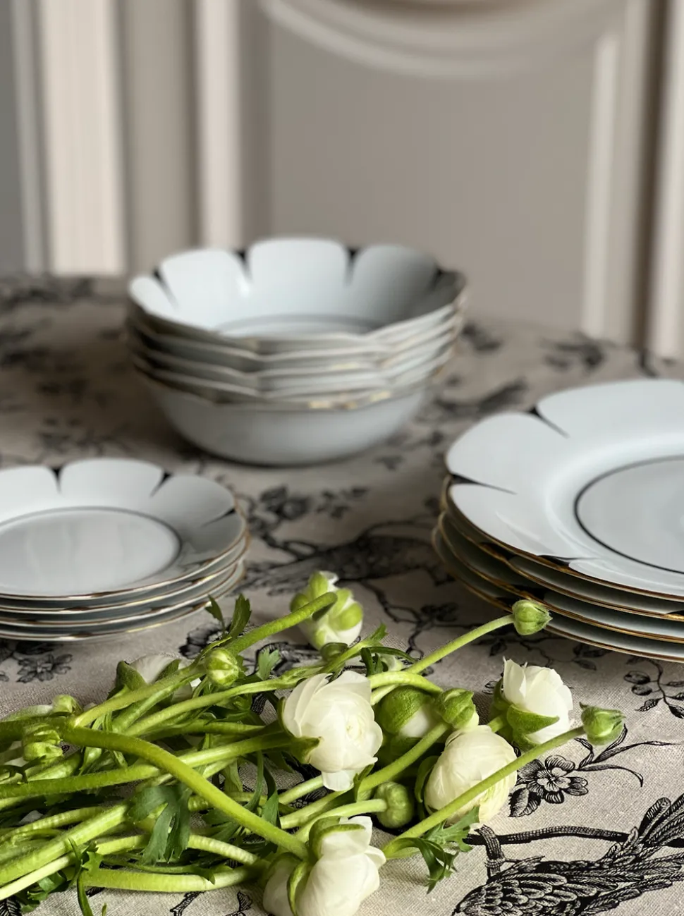 Drops Soup & Pasta Plate