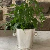 Egerton Ice Bucket
