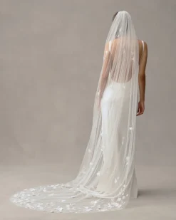 Eloise Veil