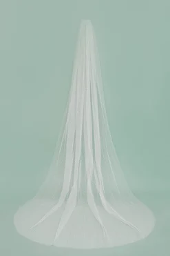 Félix Veil