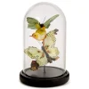 Flora and Fauna Butterfly & Bird Sculpture in Round Dome