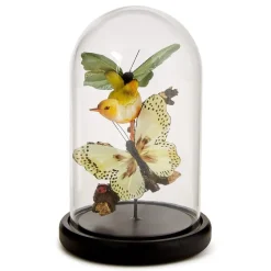 Flora and Fauna Butterfly & Bird Sculpture in Round Dome