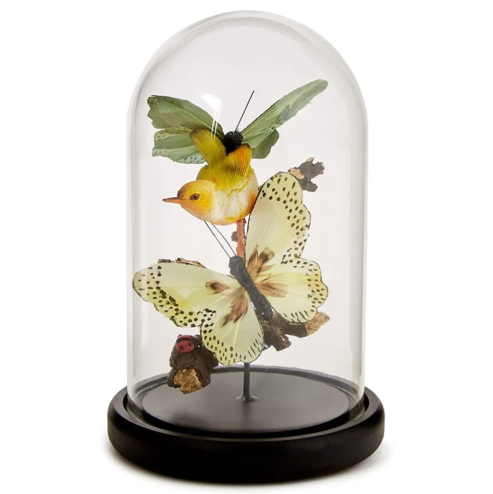 Flora and Fauna Butterfly & Bird Sculpture in Round Dome