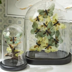 Flora and Fauna Butterfly & Bird Sculpture in Round Dome
