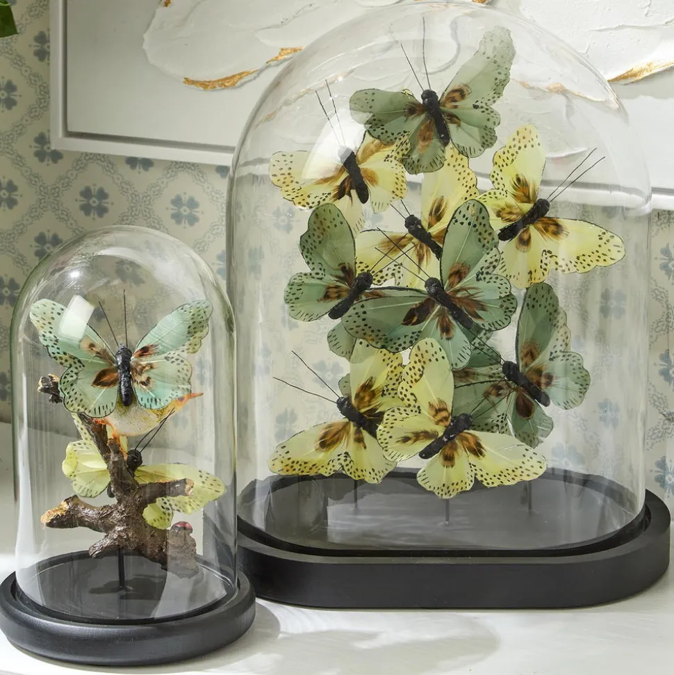 Flora and Fauna Butterfly & Bird Sculpture in Round Dome