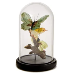 Flora and Fauna Butterfly & Bird Sculpture in Round Dome