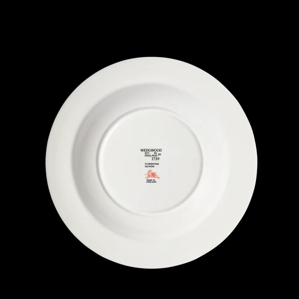 Florentine Salmon Rim Soup 8.9"