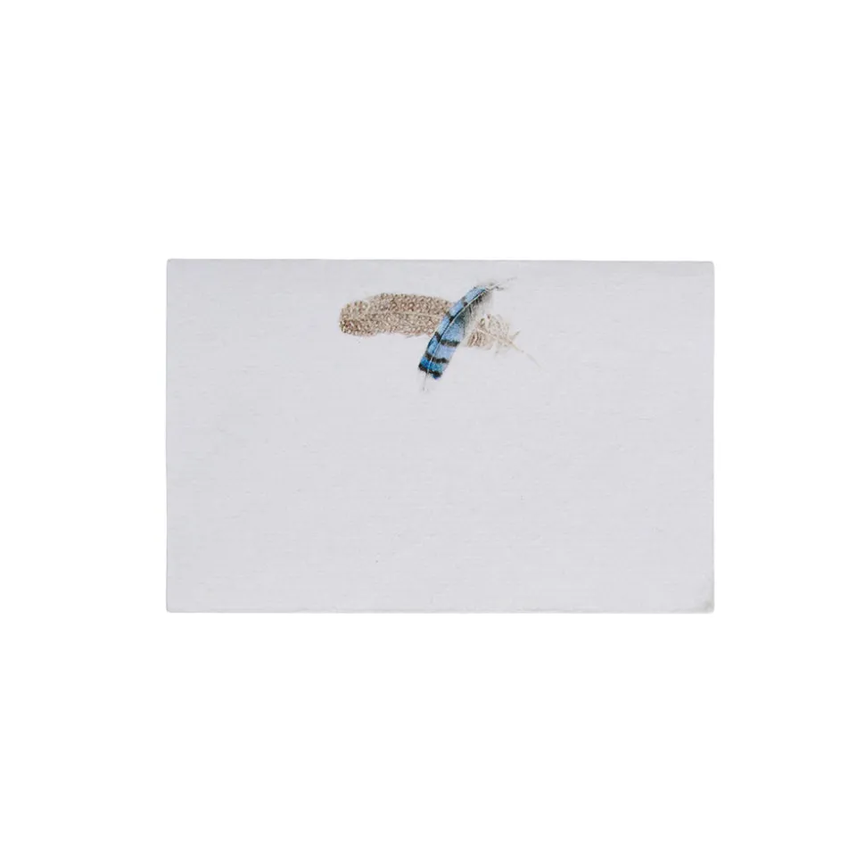 Forest Walk Place Card Assorted in Multi, Set of 12