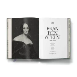 Frankenstein Art Novel