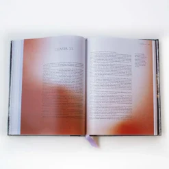 Frankenstein Art Novel