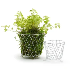 French Wireworks Pot Basket with Antique White Finish, Set of 2