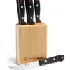 Gourmet Steak Knife Block Set, Set of 6