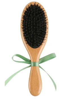 Hairbrush in Green Vase