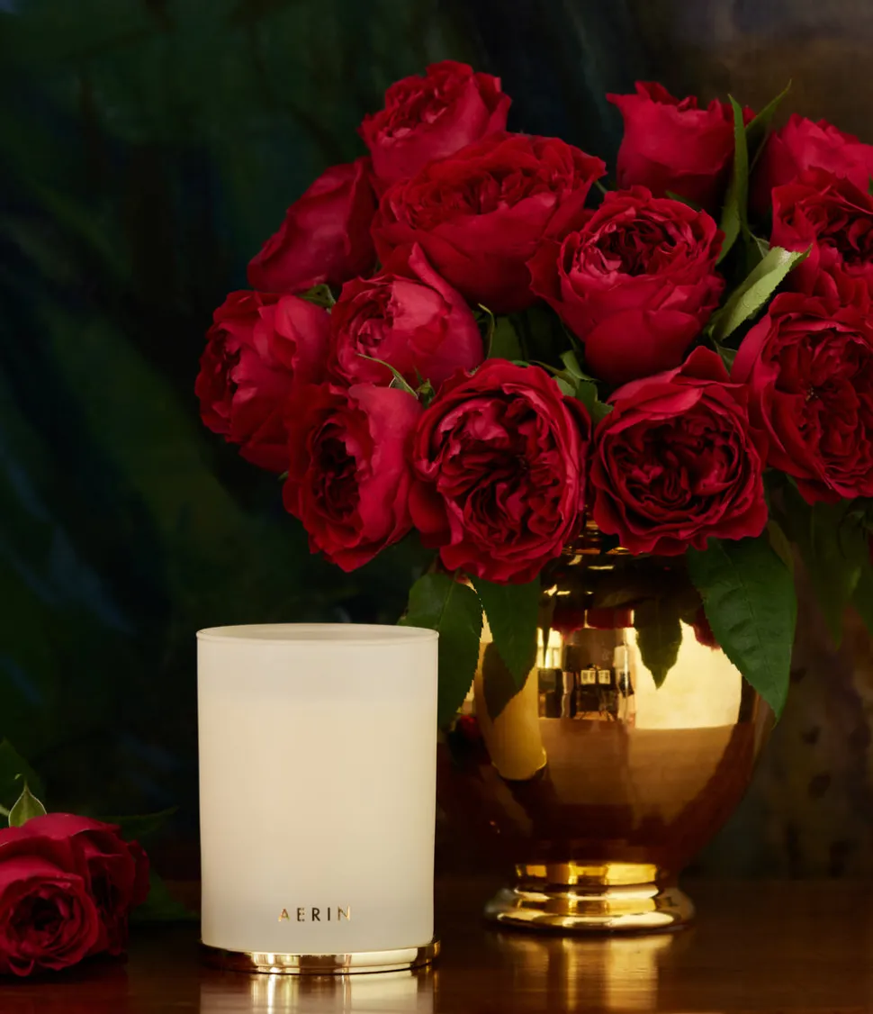 Holiday Nendaz Cypress Candle in Cream - 9.5 oz