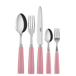 Icone Place Setting in Pink Candy, Set of 5