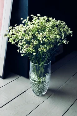 Irish Lace Vase