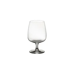 Isabel Collection Brandy Glass 12.63 oz in Clear, Set of 6