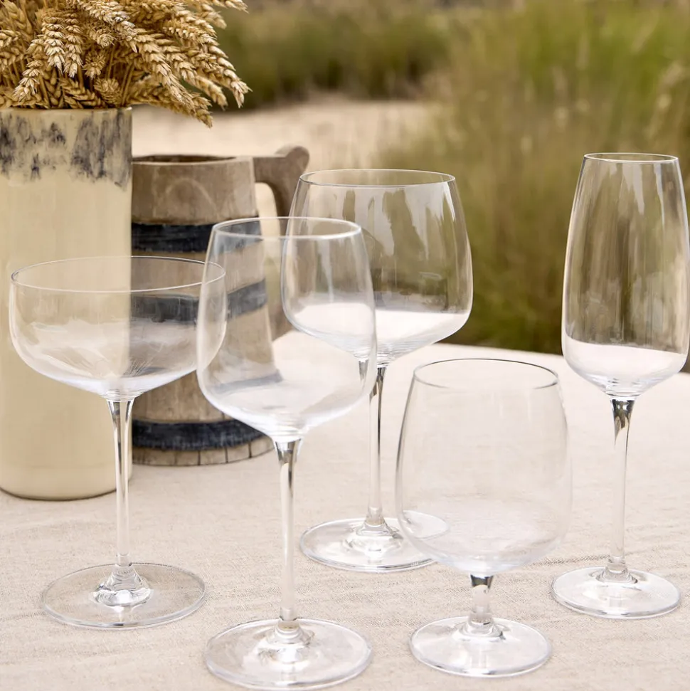 Isabel Collection Coupe Glass 10.88 oz in Clear, Set of 6