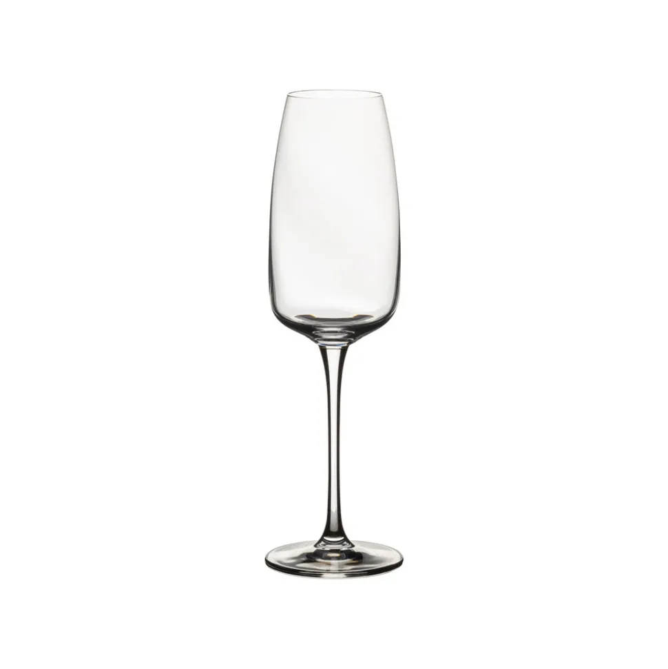 Isabel Collection Flutes 9.75 oz in Clear, Set of 6