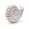 Kahala Clutch in White