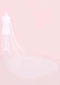 Kennedy Pearl Embellished Wedding Veil