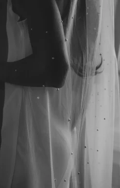 Kennedy Pearl Embellished Wedding Veil