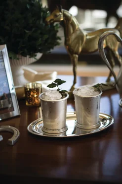 Kentucky Julep Cup