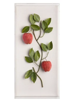 Large Fruit Study Apples On Snow Linen
