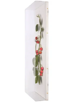 Large Fruit Study Cherries On Snow Linen