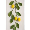 Large Fruit Study Lemons On Snow Linen