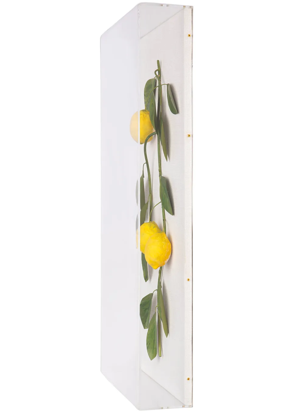 Large Fruit Study Lemons On Snow Linen