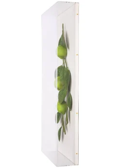 Large Fruit Study Limes On Snow Linen