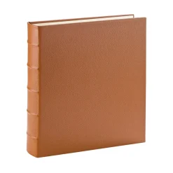 Large Ring Clear Pocket Album