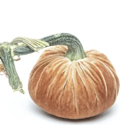 Latte Silk Velvet Pumpkin