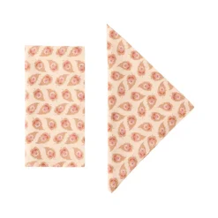 Lavinia Pastel Napkins, Set of 4