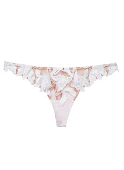 Lily Embroidery Hipster Thong in Ivory