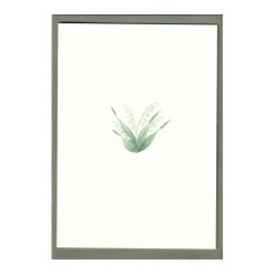 Lily of the Valley Cards, Set of 5