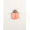 Limited Edition Ladybird Print