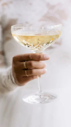 Lismore Essence Champagne Saucer 9.5 oz, Set of 2