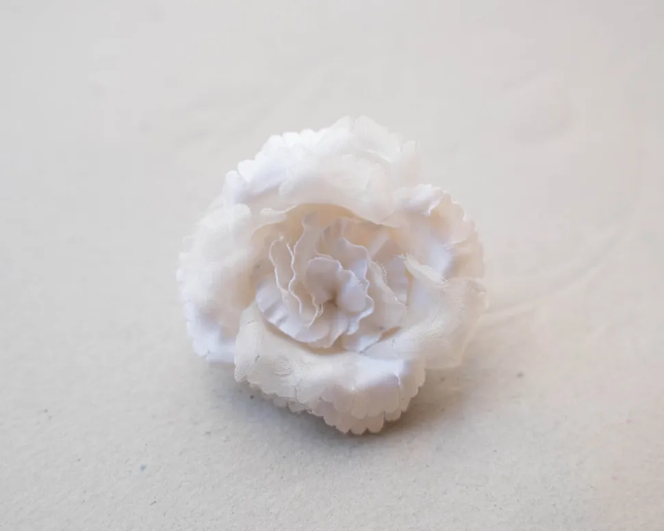 Magnolia Flower