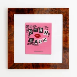 Mean Girls Burn Book