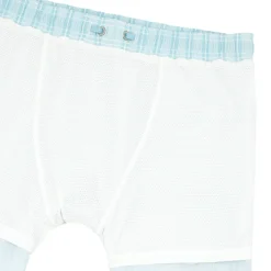 Men's Pacific Bue Stripe Classic Boardie