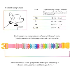 Merry Dog Collar